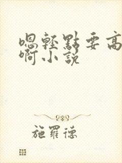 嗯轻点要高潮了啊小说