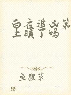 白夜追凶第二季上映了吗