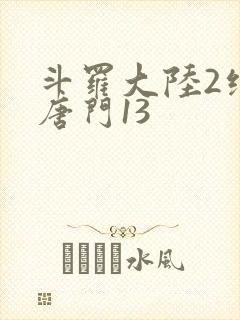 斗罗大陆2绝世唐门13