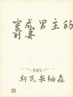 穿成男主的炮灰前妻