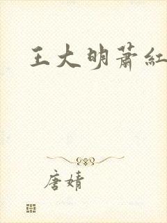 王大明萧红小说