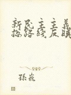 新民主主义革命总路线反映了中国革命的什么