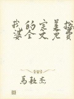 我的完美总裁老婆全文免费阅读