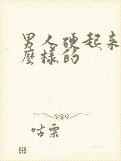 男人硬起来是怎么样的