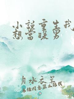 小说重生我真没想当暖男