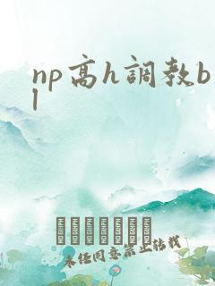 np高h调教bl
