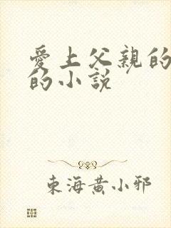 爱上父亲的朋友的小说