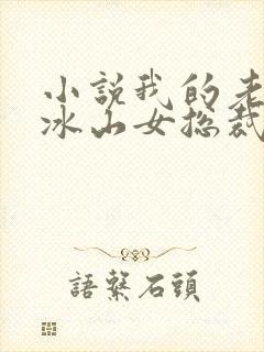 小说我的老婆是冰山女总裁