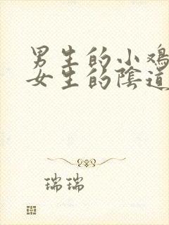 男生的小鸡插入女生的阴道处视频