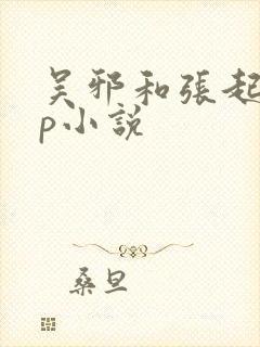 吴邪和张起灵cp小说