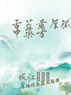 舌苔黄厚腻口苦中药方