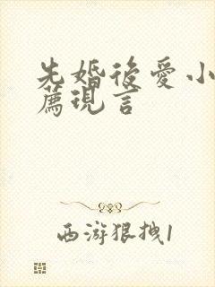 先婚后爱小说推荐现言