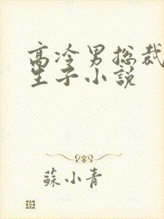 高冷男总裁怀崽生子小说