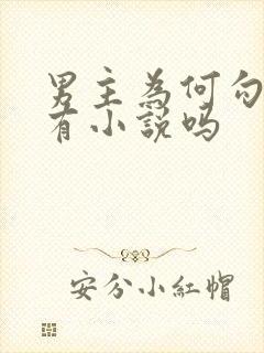 男主为何勾引我有小说吗