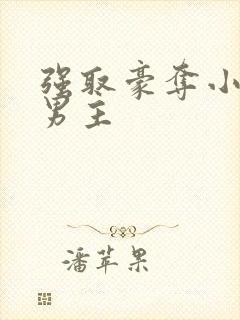 强取豪夺小说双男主