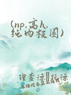 (np,高h,纯肉校园)
