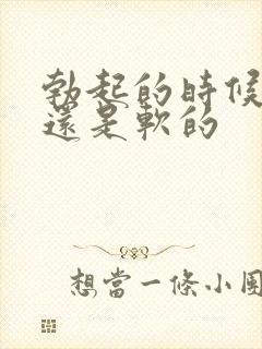 勃起的时候龟头还是软的