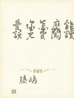 爱你怎么能了小说免费阅读