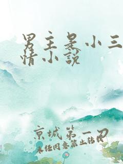 男主是小三的言情小说