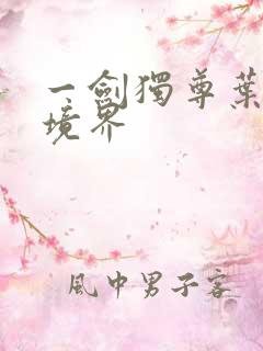 一剑独尊叶玄的境界