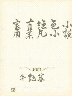 家有绝色小姨主角叶凡小说