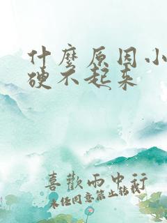 什么原因小弟弟硬不起来