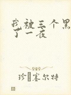 我被三个黑人操了一夜