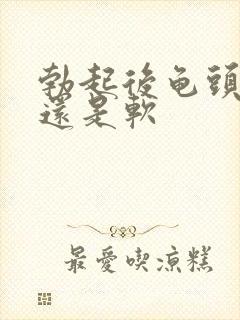 勃起后龟头是硬还是软