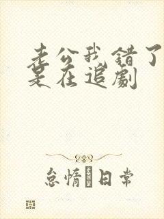 老公我错了我只是在追剧