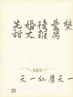 先婚后爱双男主甜文推荐