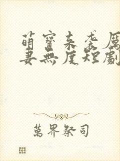 萌宝来袭厉总宠妻无度短剧