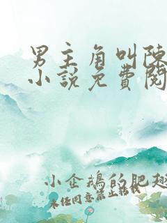 男主角叫陈平的小说免费阅读