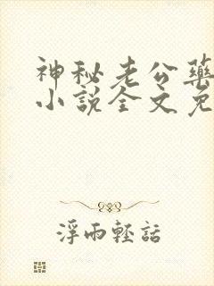 神秘老公药别停小说全文免费阅读