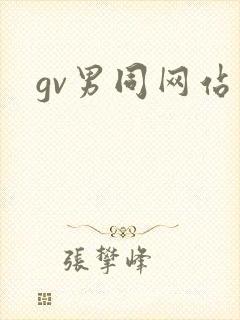 gv男同网站