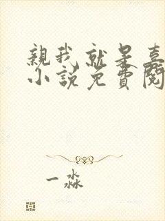 亲我就是喜欢我小说免费阅读