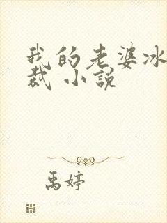 我的老婆冰山总裁 小说