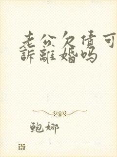 老公欠债可以起诉离婚吗