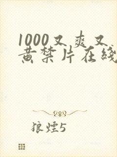 1000又爽又黄禁片在线观看