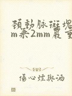 颈动脉斑块5mm乘2mm严重吗