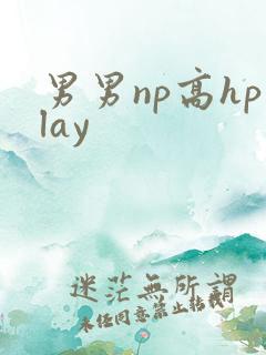 男男np高hplay