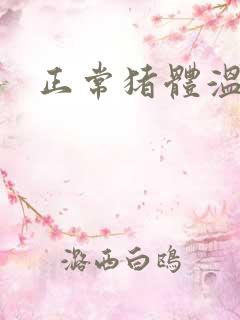 正常猪体温多少