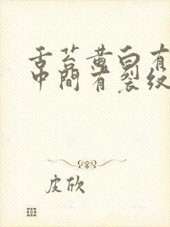 舌苔黄白有齿痕中间有裂纹吃什么药