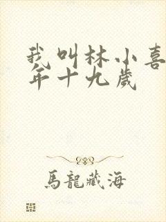 我叫林小喜 今年十九岁