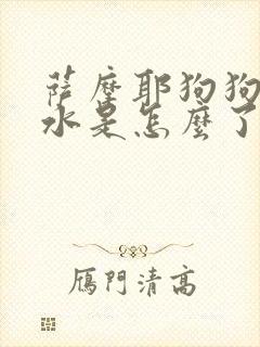 萨摩耶狗狗吐黄水是怎么了