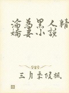 沦为黑人精厕的娇妻小说