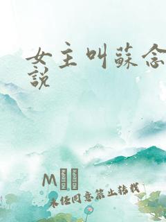 女主叫苏念的小说