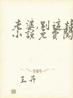 老婆,别这样 小说免费阅读