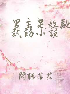 男主是姓欧的总裁的小说