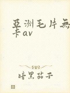 亚洲毛片无毛不卡av