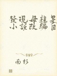 发现母亲是小姐小说改编自哪部小说